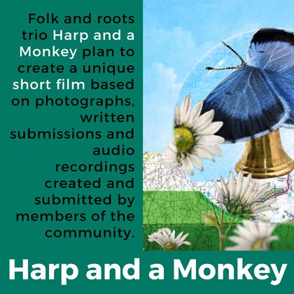 Image Carousel Harp & A Monkey (7)