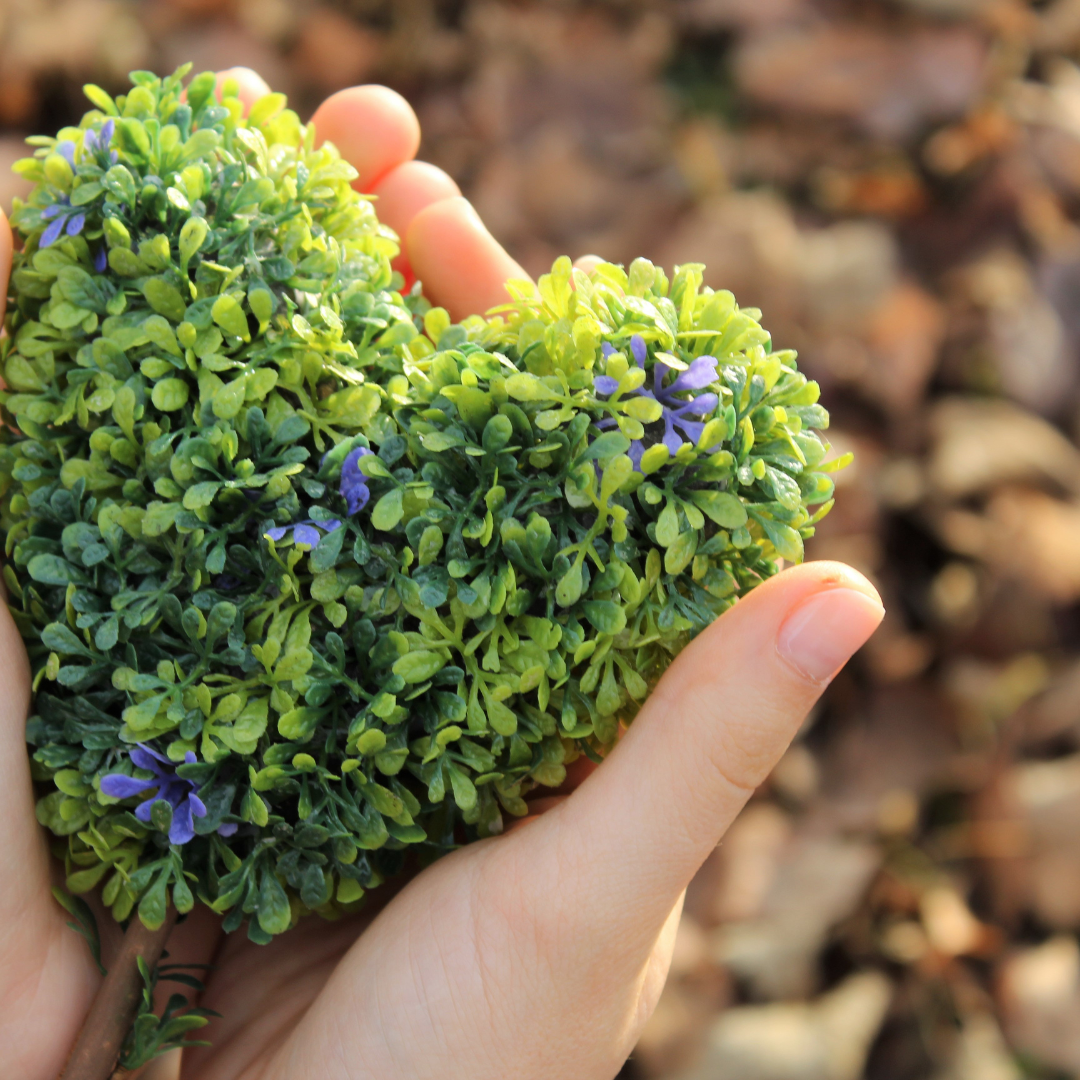 Carbon Literacy Day 24 (3)