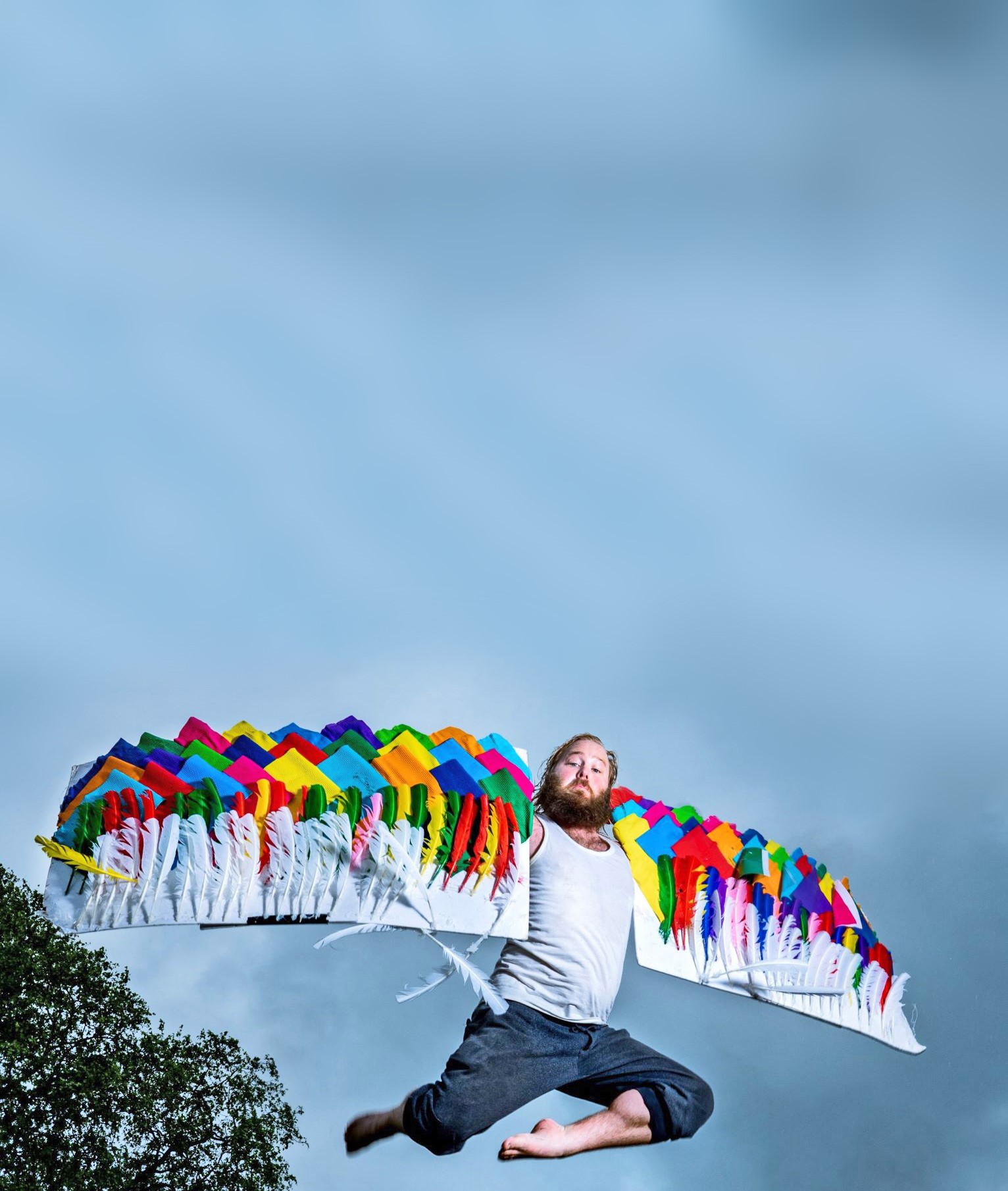 Learning To Fly (Blur) Cropped