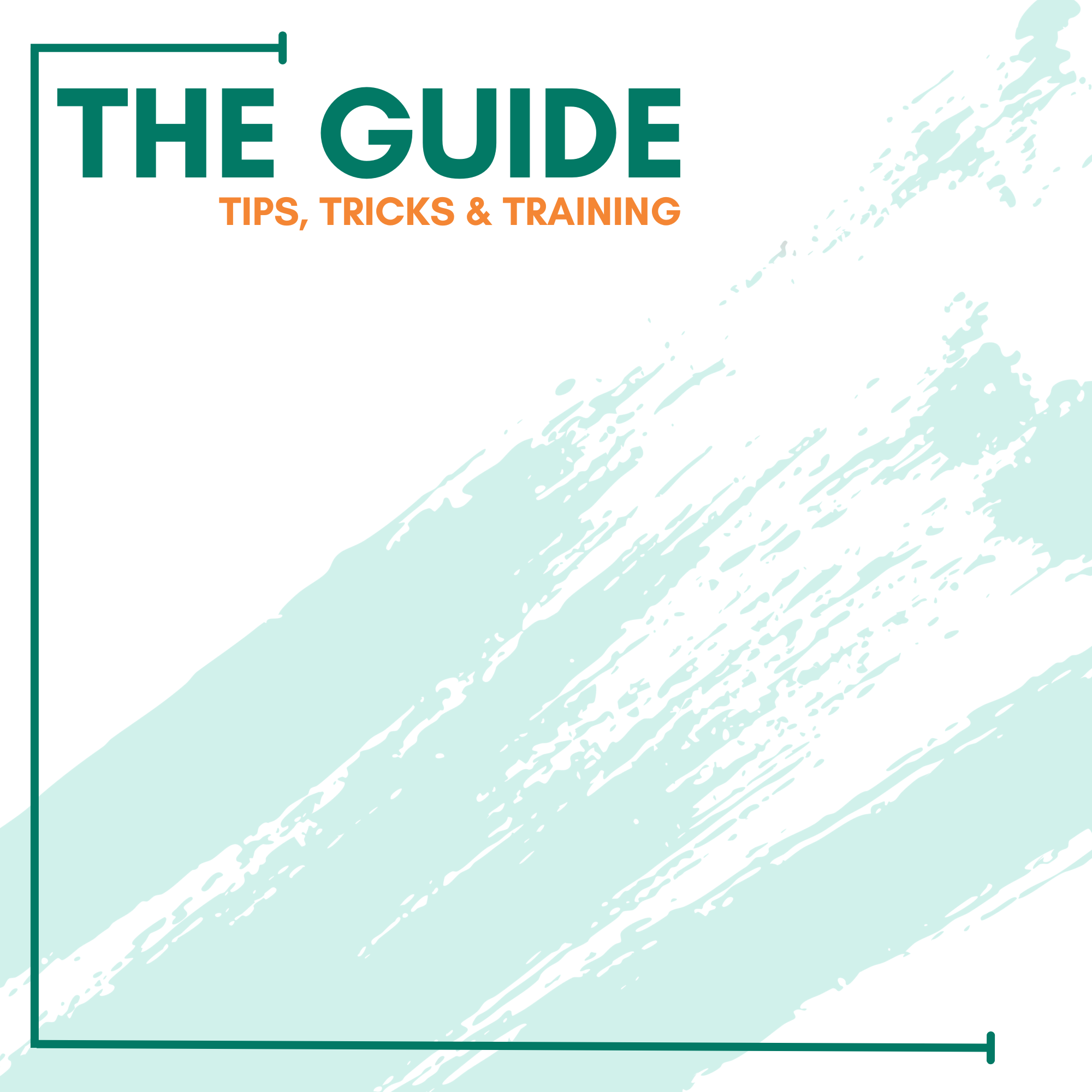 THE GUIDE Graphic