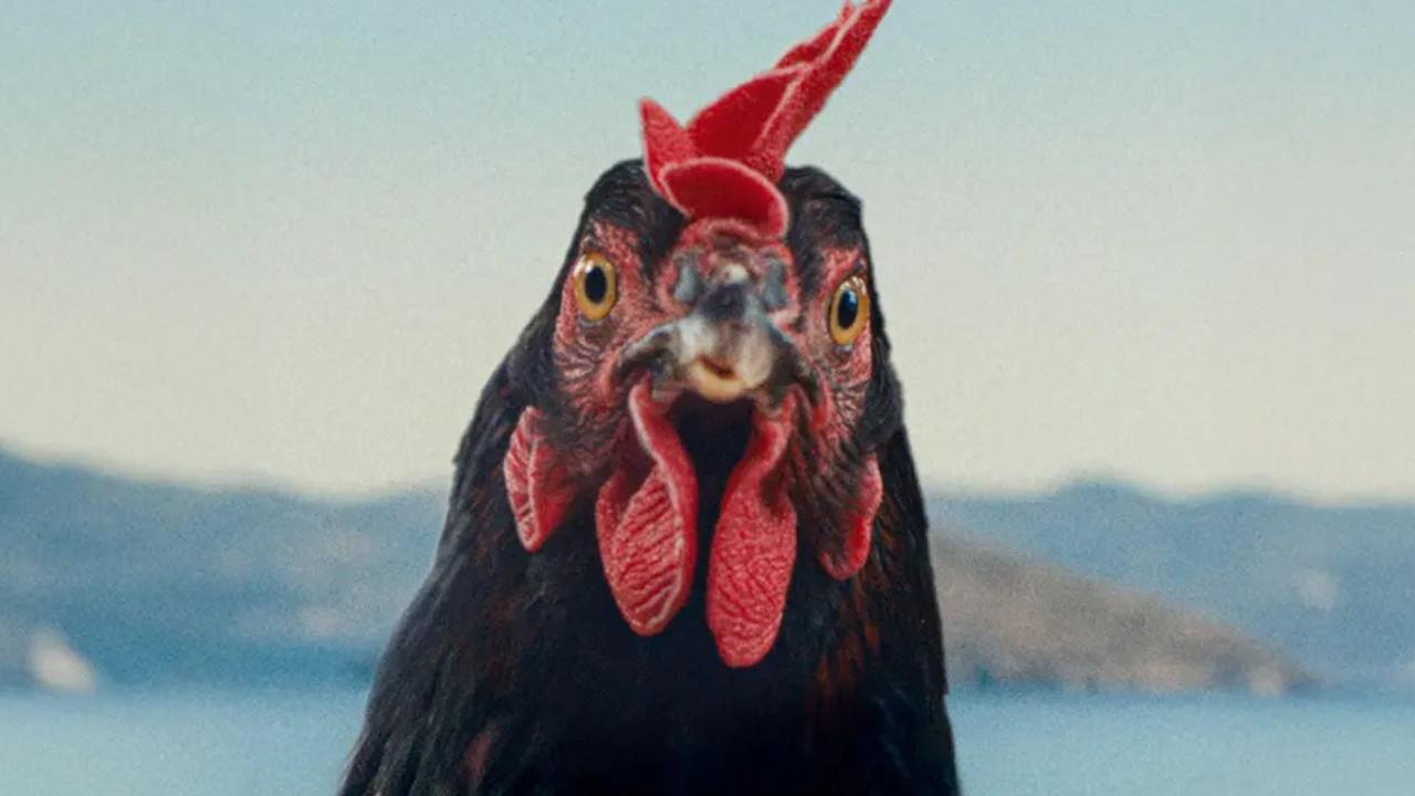 BPFF26: Hen (2025) Presented by Stratford Amnesty International