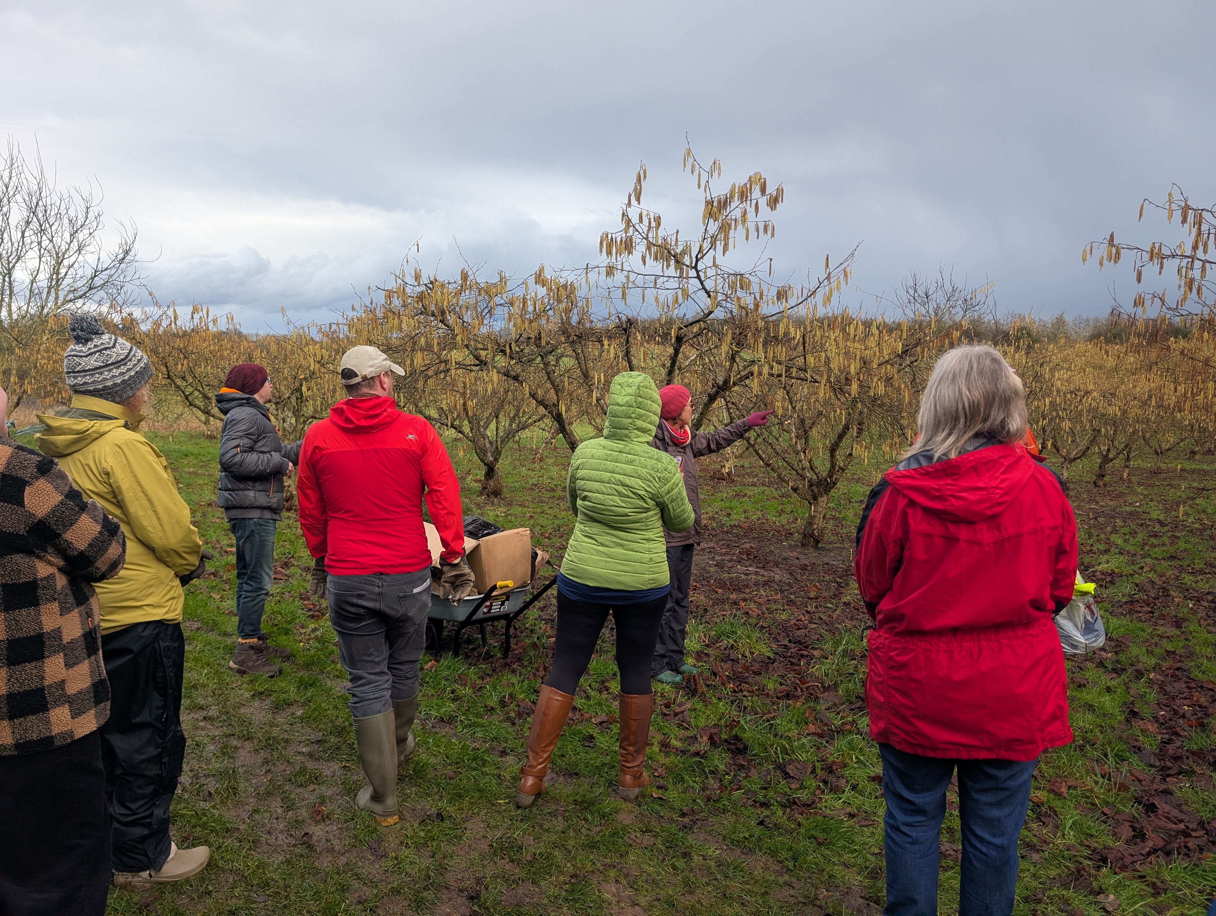 PXL 20250226 141544851