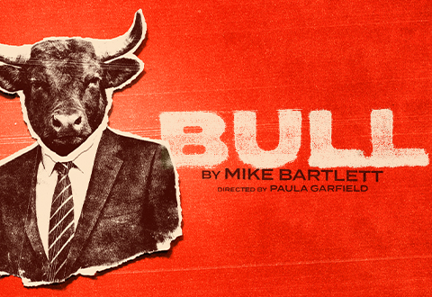 Bull