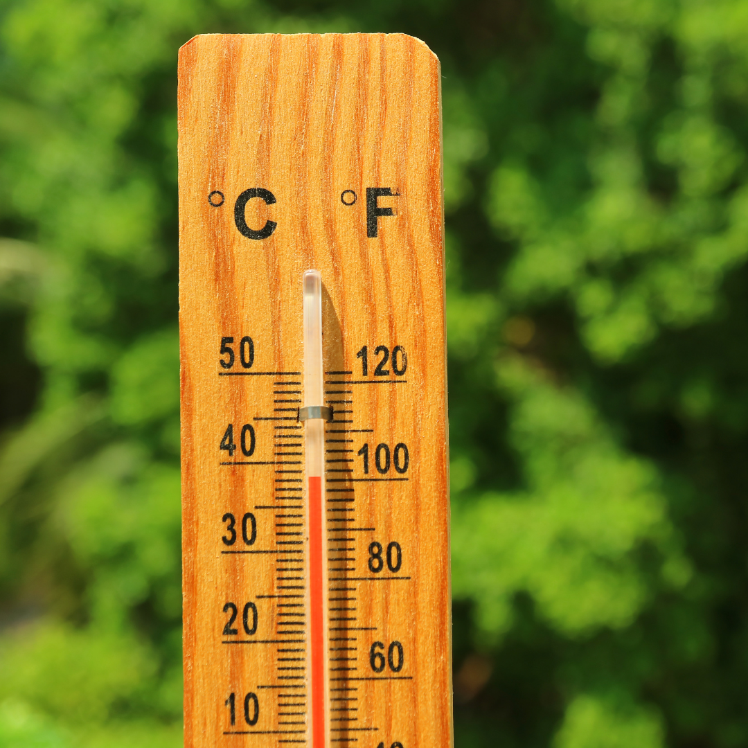 Temp