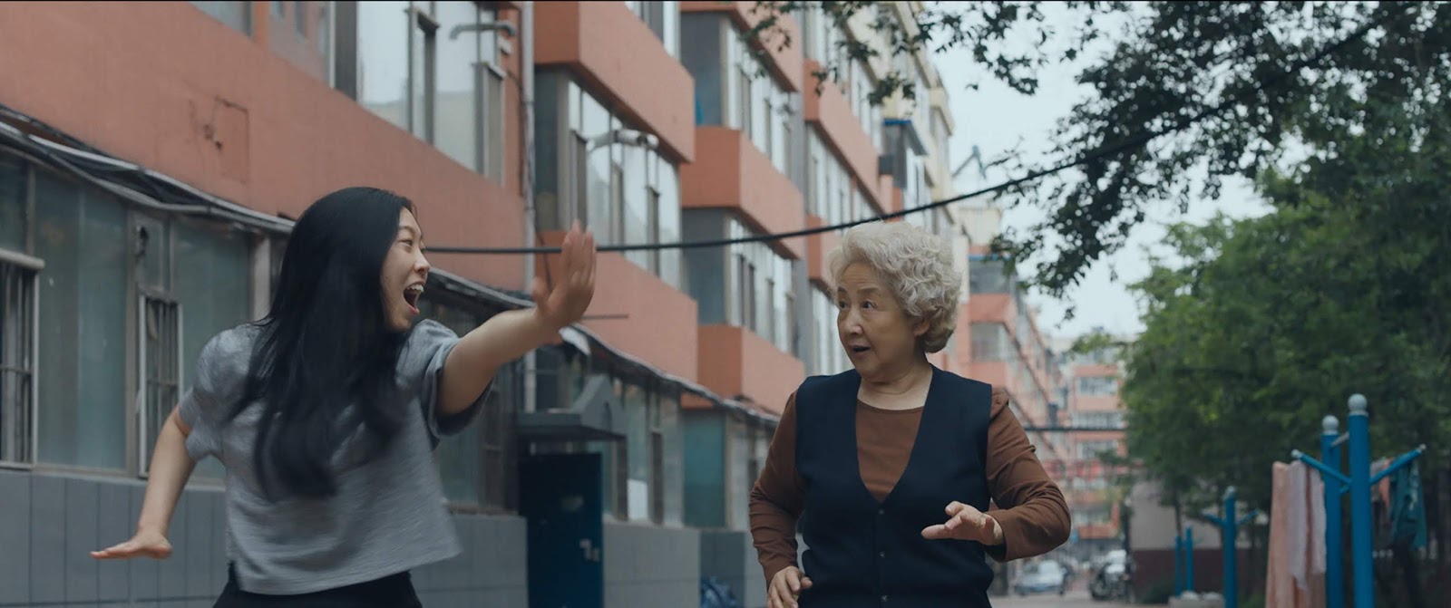 The Farewell (2019)