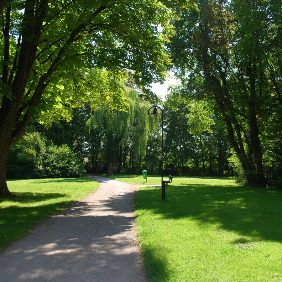 Repeatable Image Content Umbraco (3)