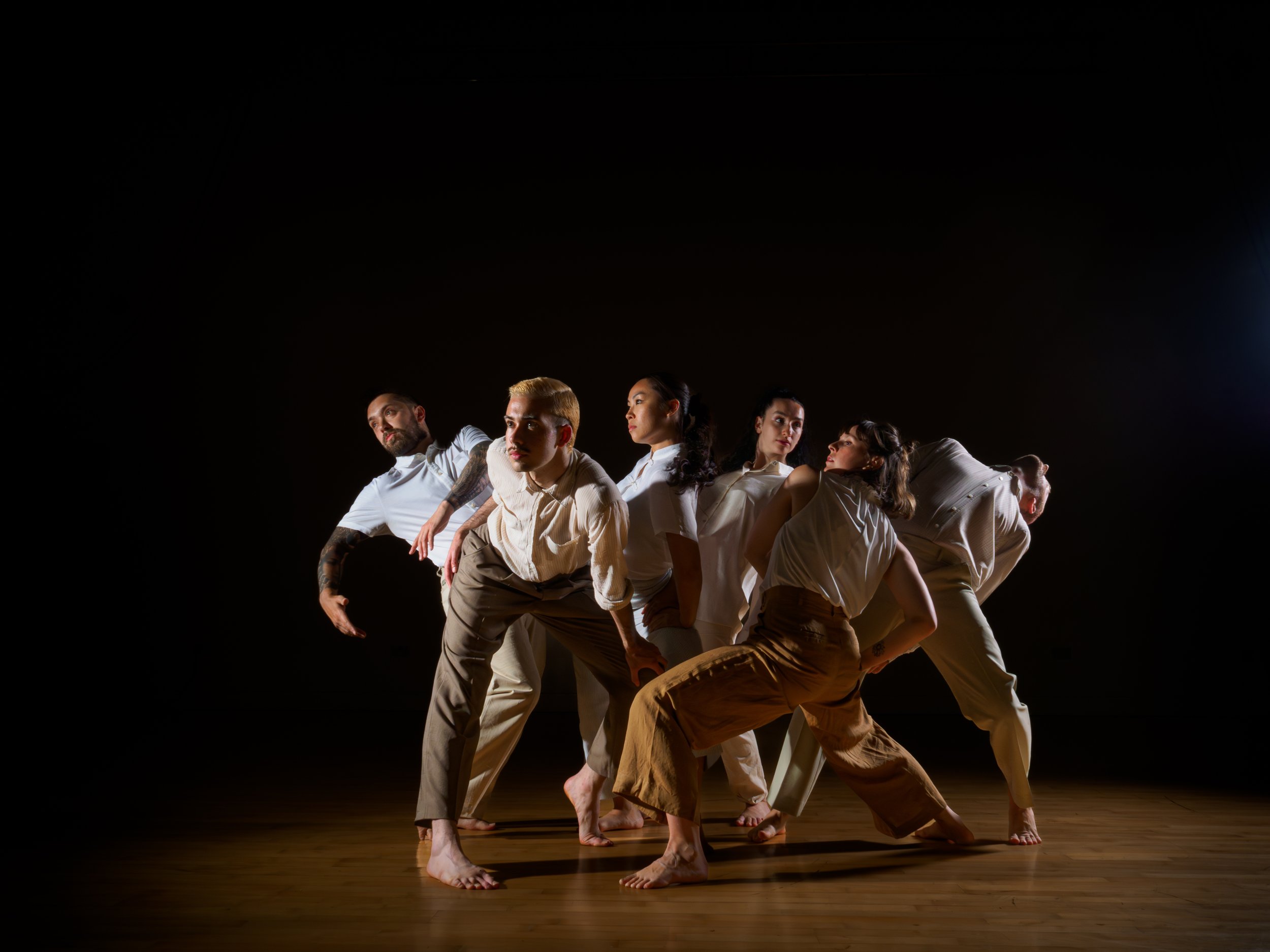 Fault Lines Community Cast Workshops