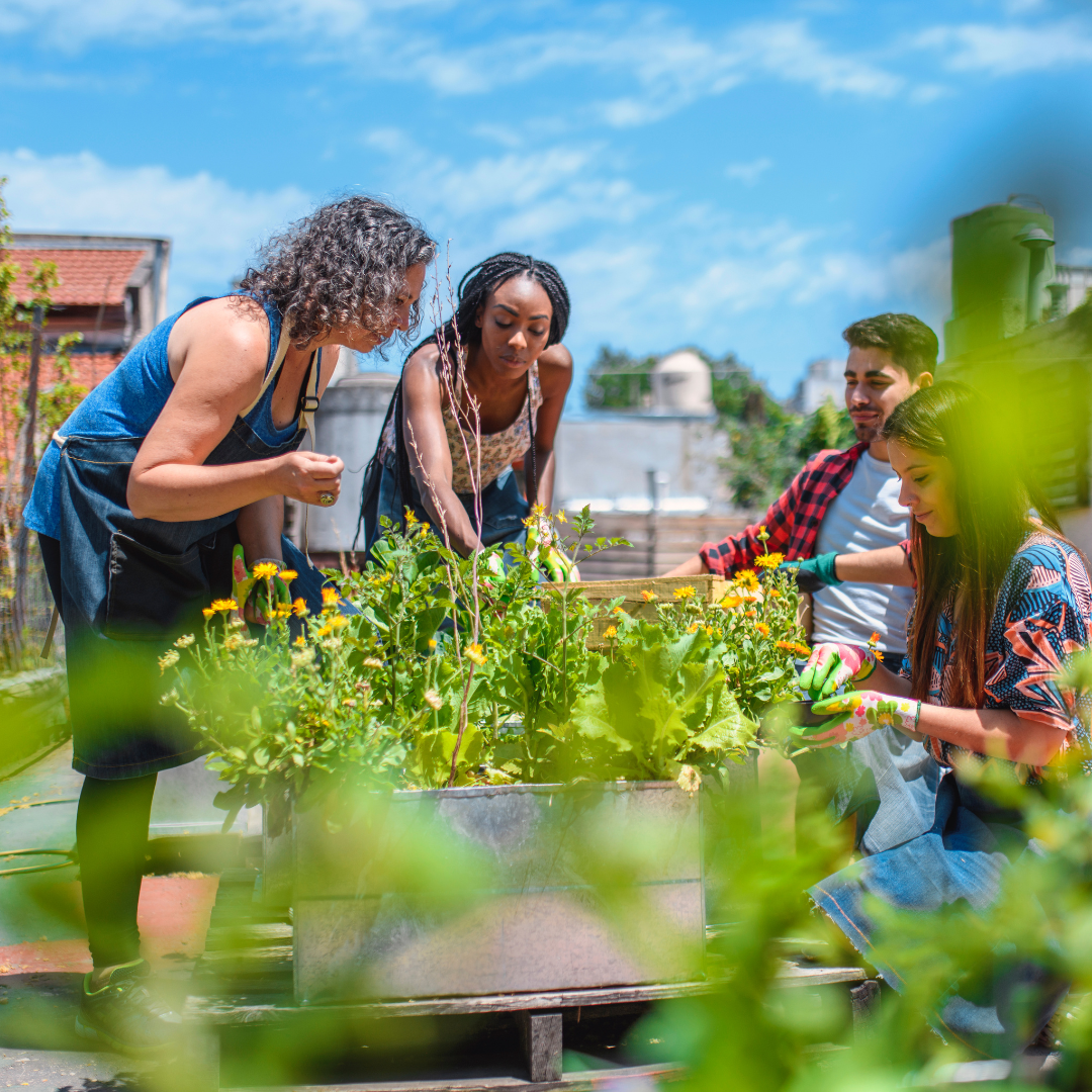 Blog Repeatable Images (5)