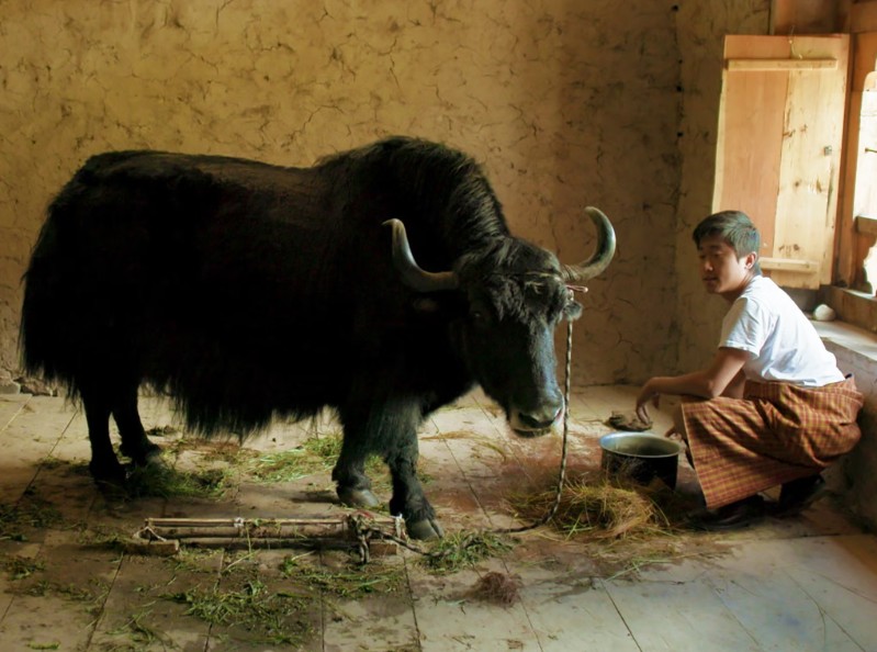Lunana A Yak In The Classroom (2019)