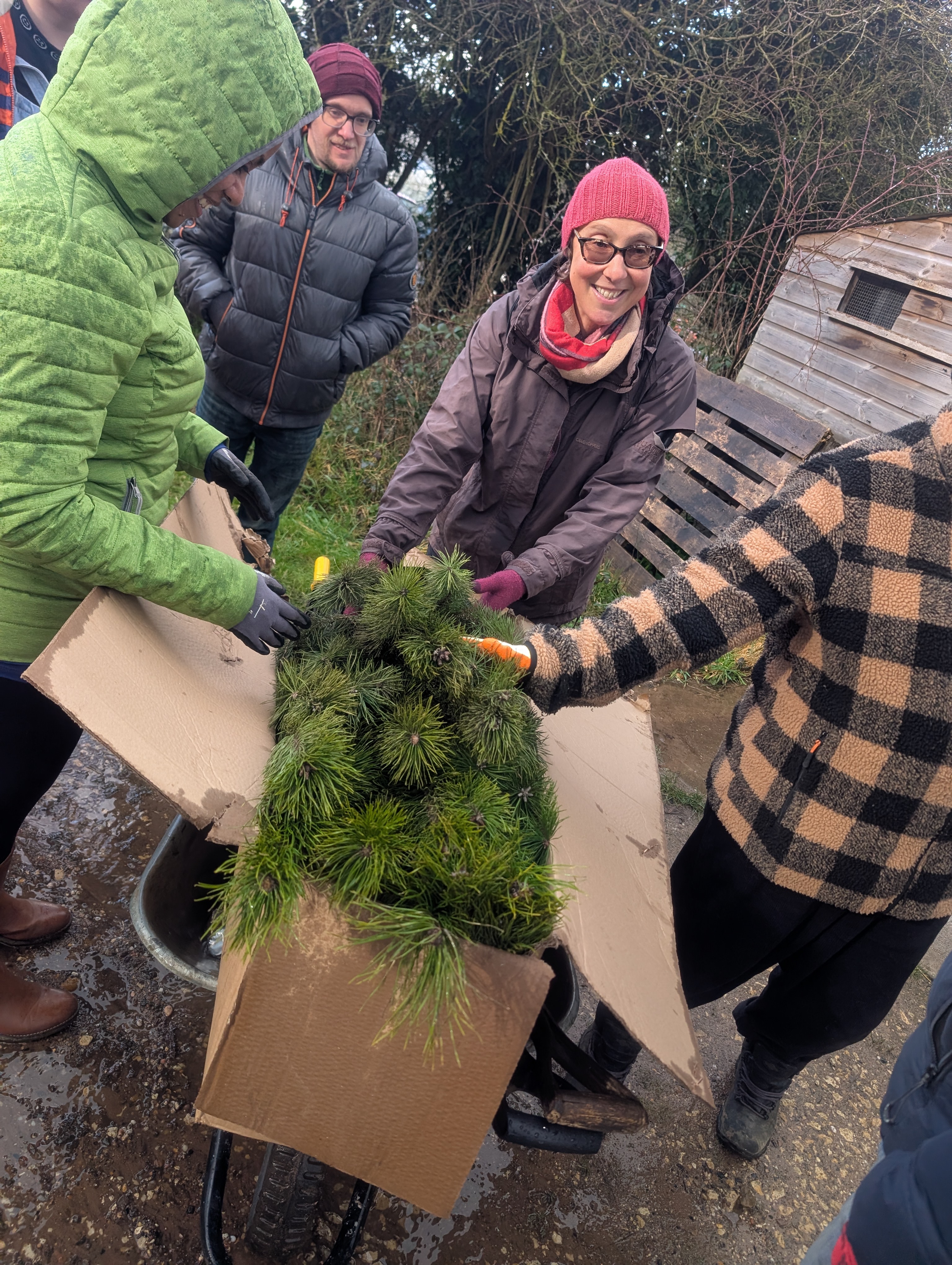 PXL 20250226 141017431.MP