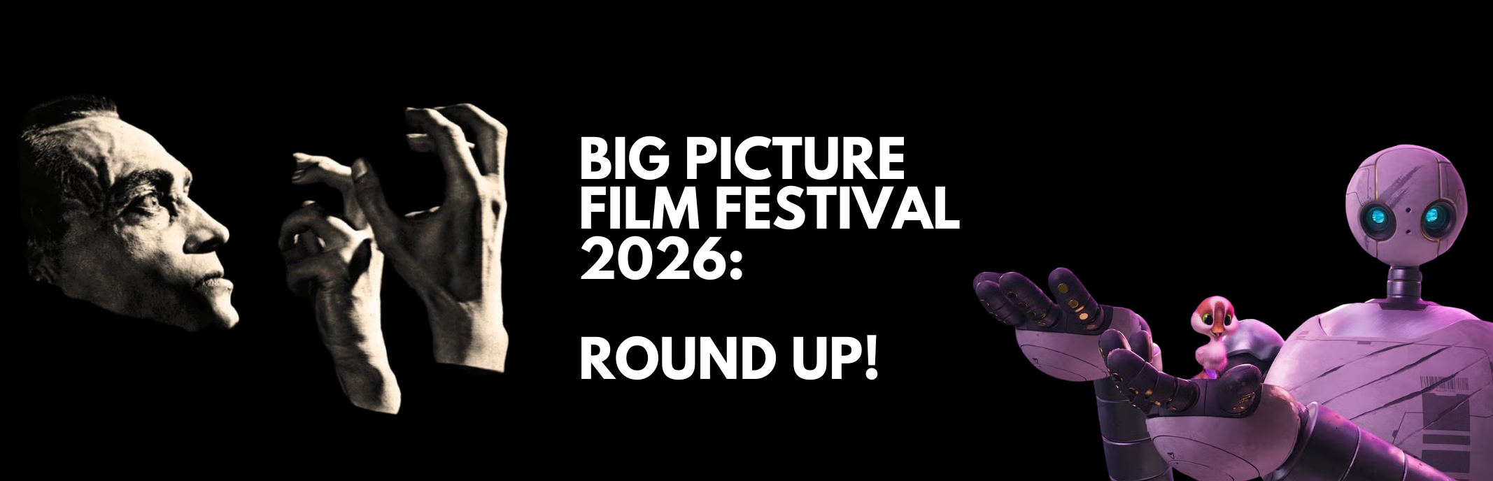 Big Picture Film Festival 2026 (3)