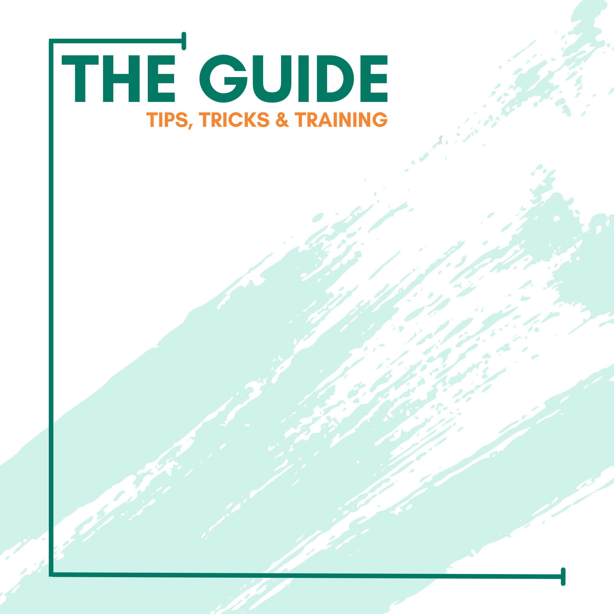 THE GUIDE Graphic (1)