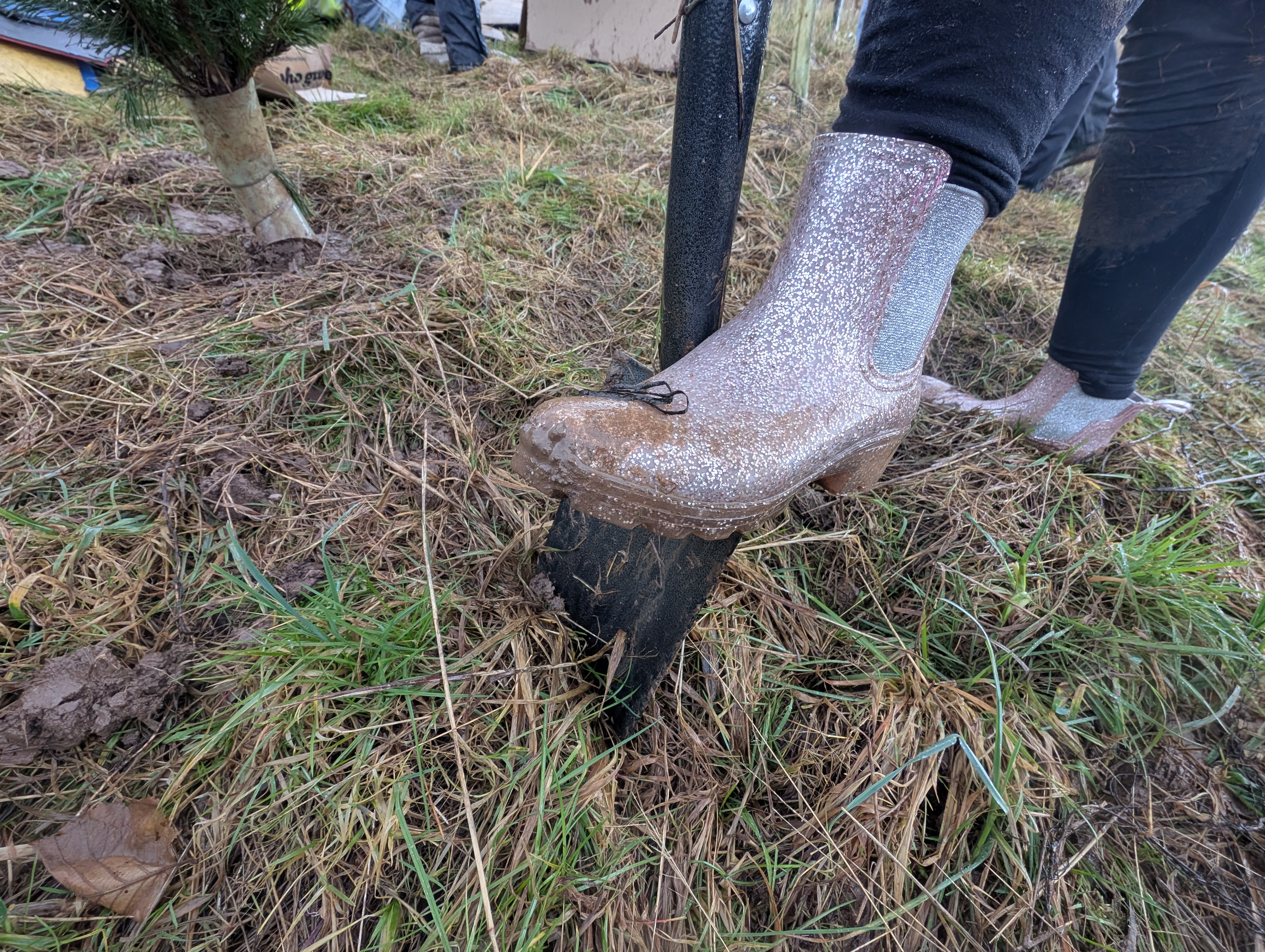 PXL 20250226 150316941