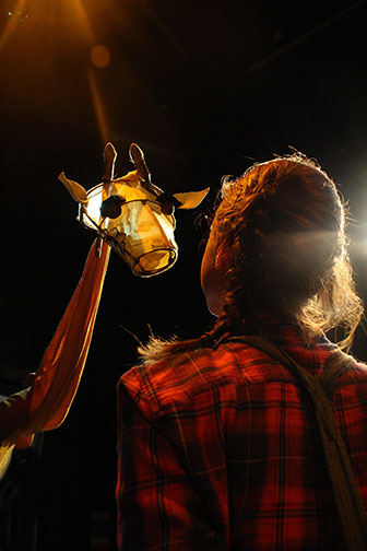 Girl And The Giraffe