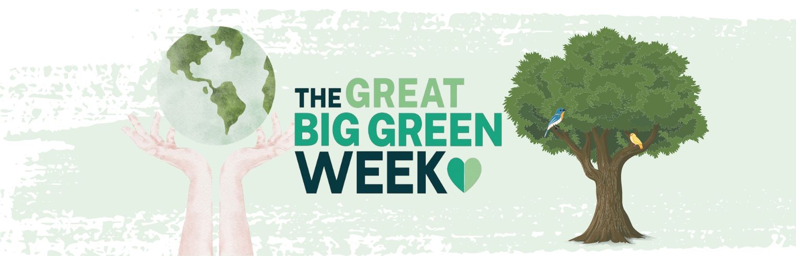 Blog New Website Header (7)