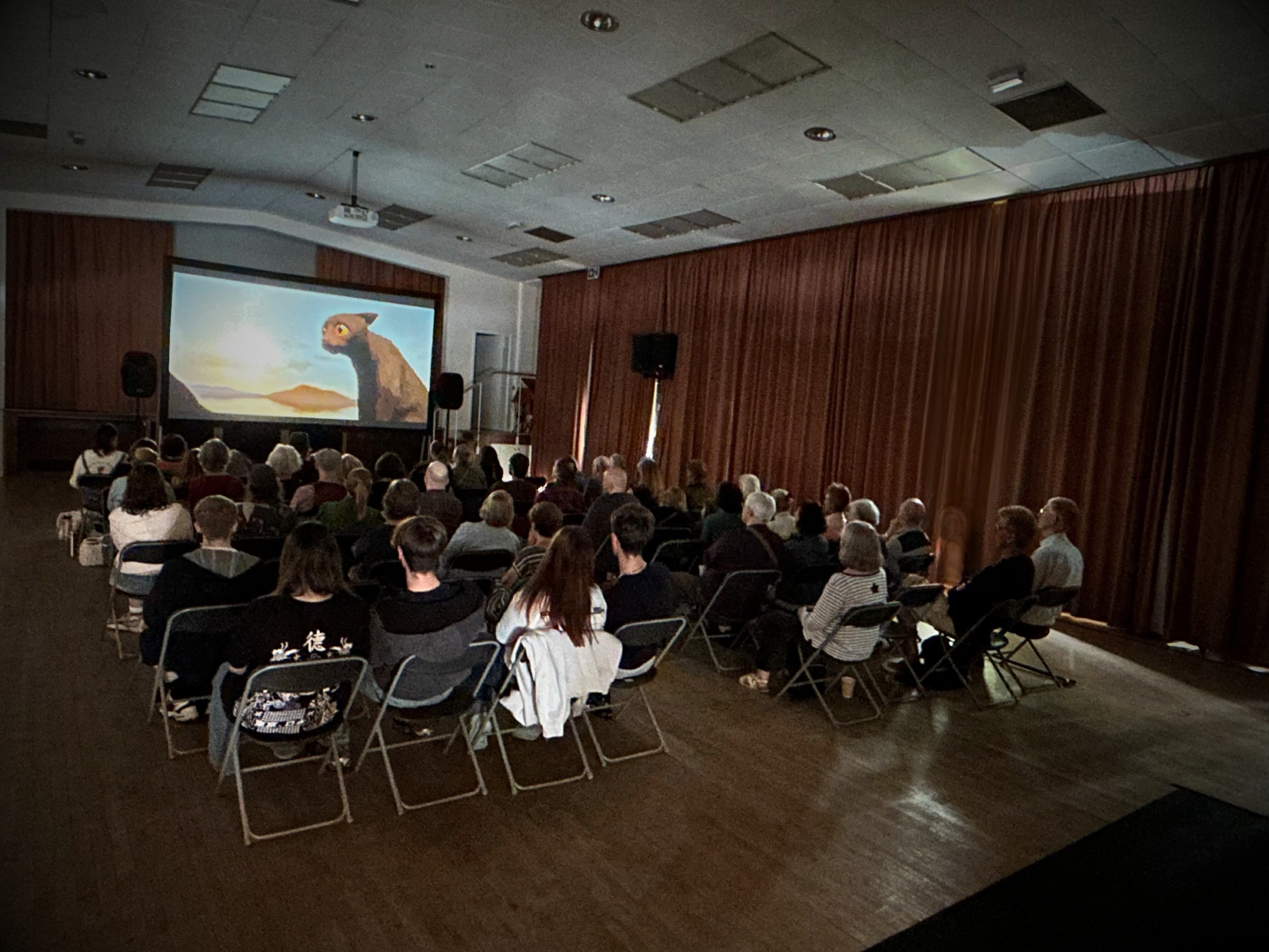 Flow Audience EDITED